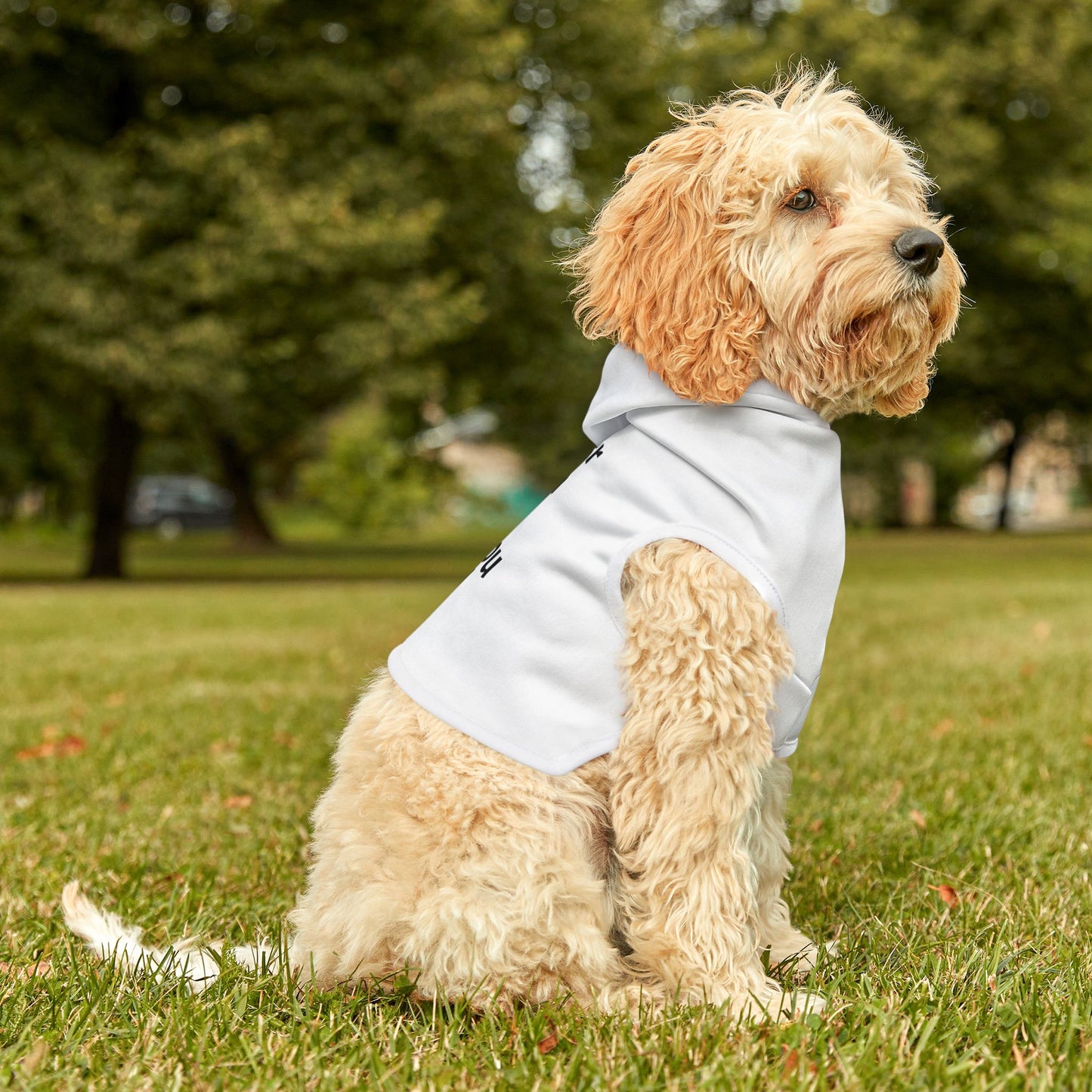 Adorable Pet Hoodie for Small Dogs, Cute Dog Sweater, Perfect Gift for Pet Lovers, Cozy Pajama for Pets, Dog Fashion