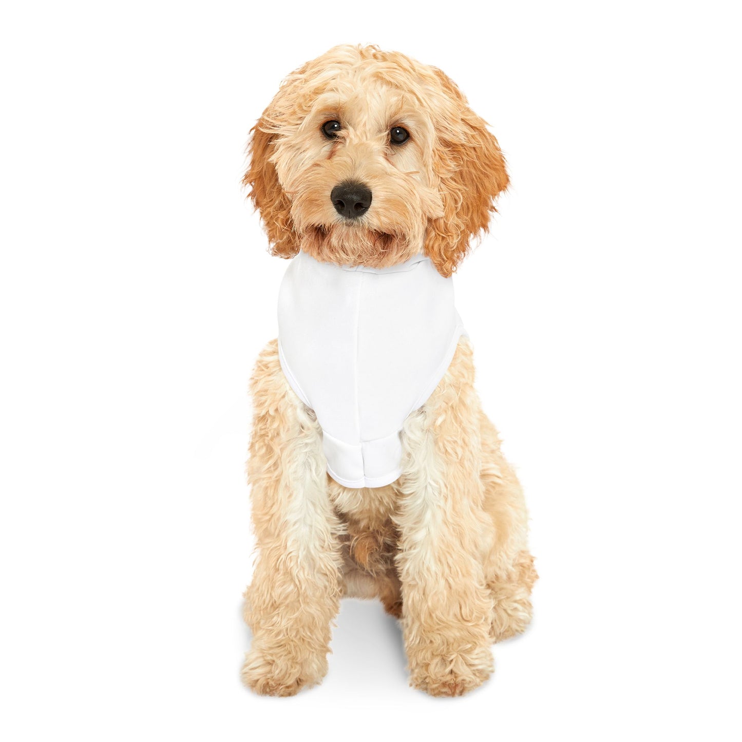 Adorable Pet Hoodie for Small Dogs, Cute Dog Sweater, Perfect Gift for Pet Lovers, Cozy Pajama for Pets, Dog Fashion