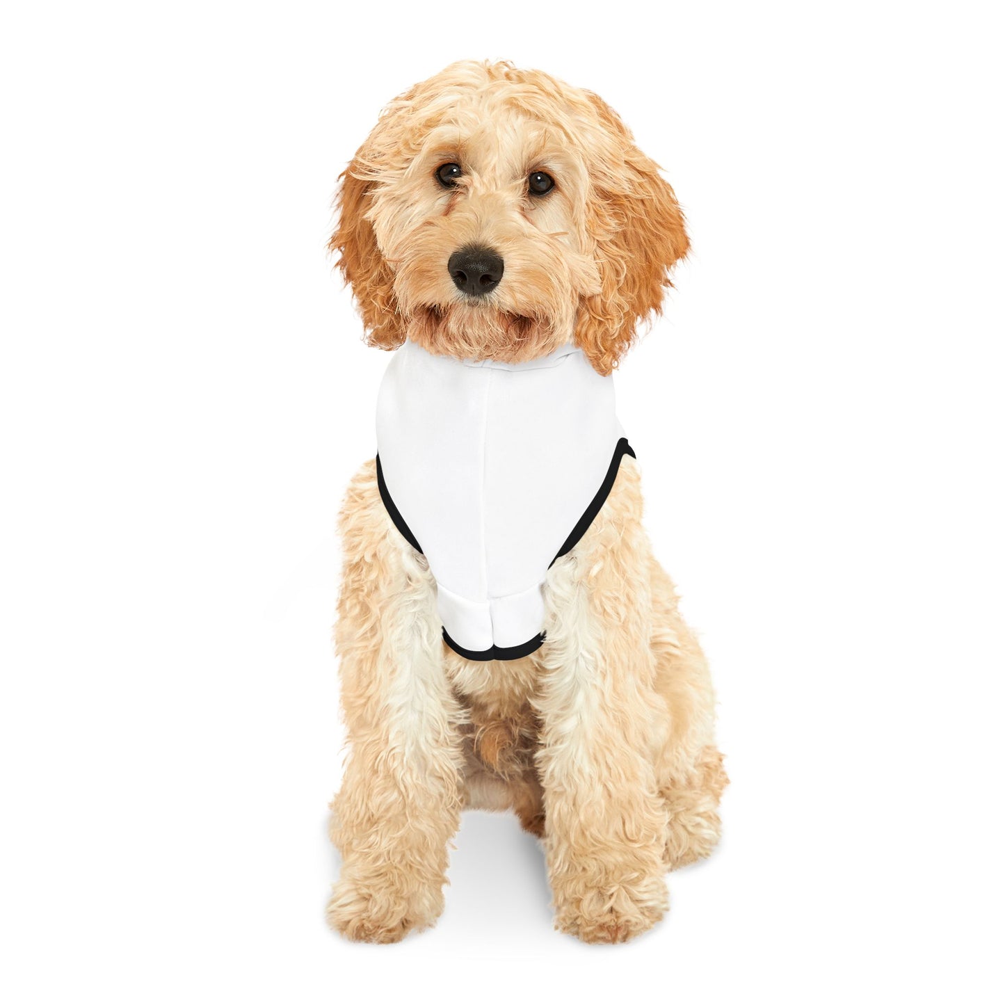 Adorable Pet Hoodie for Small Dogs, Cute Dog Sweater, Perfect Gift for Pet Lovers, Cozy Pajama for Pets, Dog Fashion